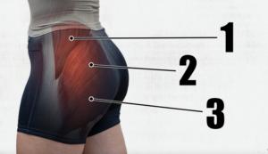 Glute amnesia Glutes training