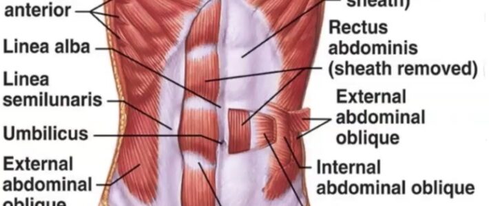 Abdominals